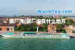 银厂沟(银厂沟在什么地方)