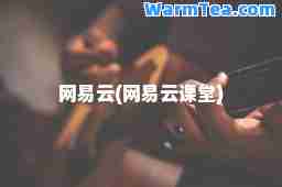 网易云(网易云课堂)