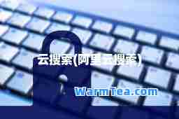 云搜索(阿里云搜索)