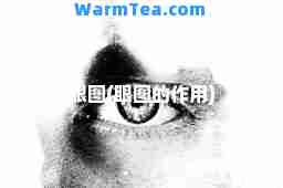 眼图(眼图的作用)