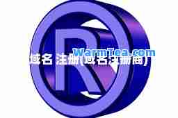 域名 注册(域名注册商) 域名 注册(域名注册商)