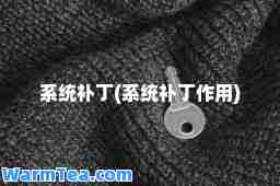 系统补丁(系统补丁作用)