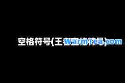 空格符号(王者空格符号)