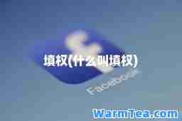 填权(什么叫填权)