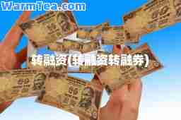 转融资(转融资转融券)