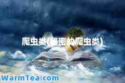 爬虫类(秘密的爬虫类)