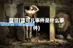 蓝可(蓝可儿事件是什么事件)
