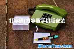 打字通(打字通手机版安装)