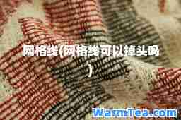 网格线(网格线可以掉头吗)