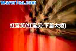 红鸾笑(红鸾笑·下篇大婚)