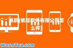 帆软(帆软软件有限公司怎么样)