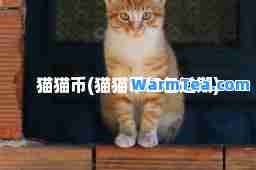 猫猫币(猫猫币红包过期)