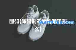 图码(涂码割芯片的鞋能买么)