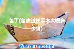 包丁(包皮过长手术大概多少钱)