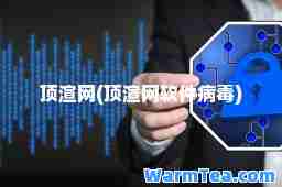 顶渲网(顶渲网软件病毒)