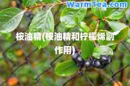 桉油精(桉油精和柠檬烯副作用)