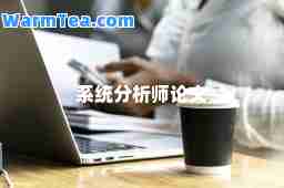 系统分析师论文