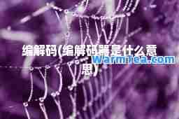 编解码(编解码器是什么意思)