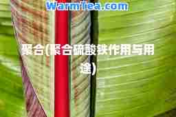 聚(聚硫酸铁作用与用途)