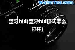 蓝牙hid(蓝牙hid模式怎么打开)