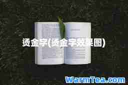 烫金字(烫金字效果图)