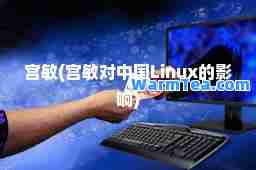 宫敏(宫敏对中国Linux的影响)