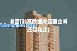 瀚高(瀚高数据库是国企吗还是私企)