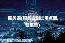 服务端(服务端测试重点测试哪些)
