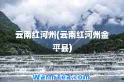 云南红河州(云南红河州金平县)