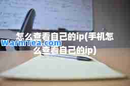 怎么查看自己的ip(手机怎么查看自己的ip)