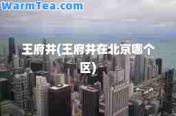 王府井(王府井在北京哪个区)