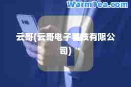 云哥(云哥电子科技有限公司)