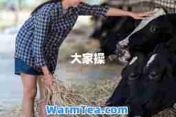 大家操