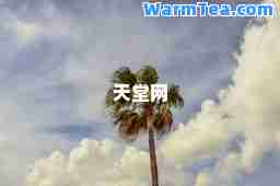 天堂网