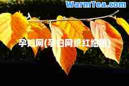 孕妇网(孕妇网织红细胞)