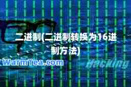 二进制(二进制转换为16进制方法)