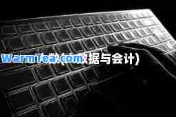 大数(大数据与会计)
