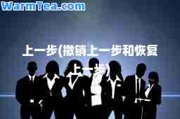 上一步(撤销上一步和恢复上一步)