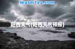 阳西天气(阳西天气预报)