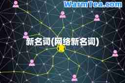 新名词(网络新名词)