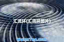 汇流环(汇流环图片)