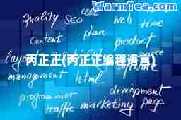 丙正正(丙正正编程语言)
