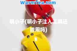明小子(明小子注入工具还能用吗)