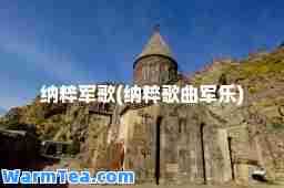 纳粹军歌(纳粹歌曲军乐)