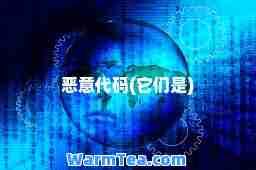 恶意代码(它们是)