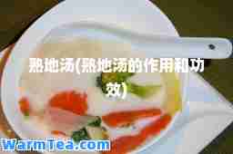 熟地汤(熟地汤的作用和功效)