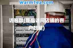 访客数(是指访问店铺的客户数量)