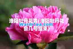 洛阳牡丹花会(洛阳牡丹花会几号结束)