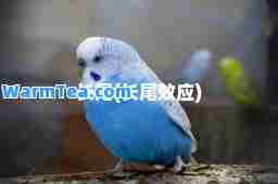 长尾(长尾效应)