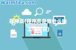 程序员(程序员是做什么的工作内容)